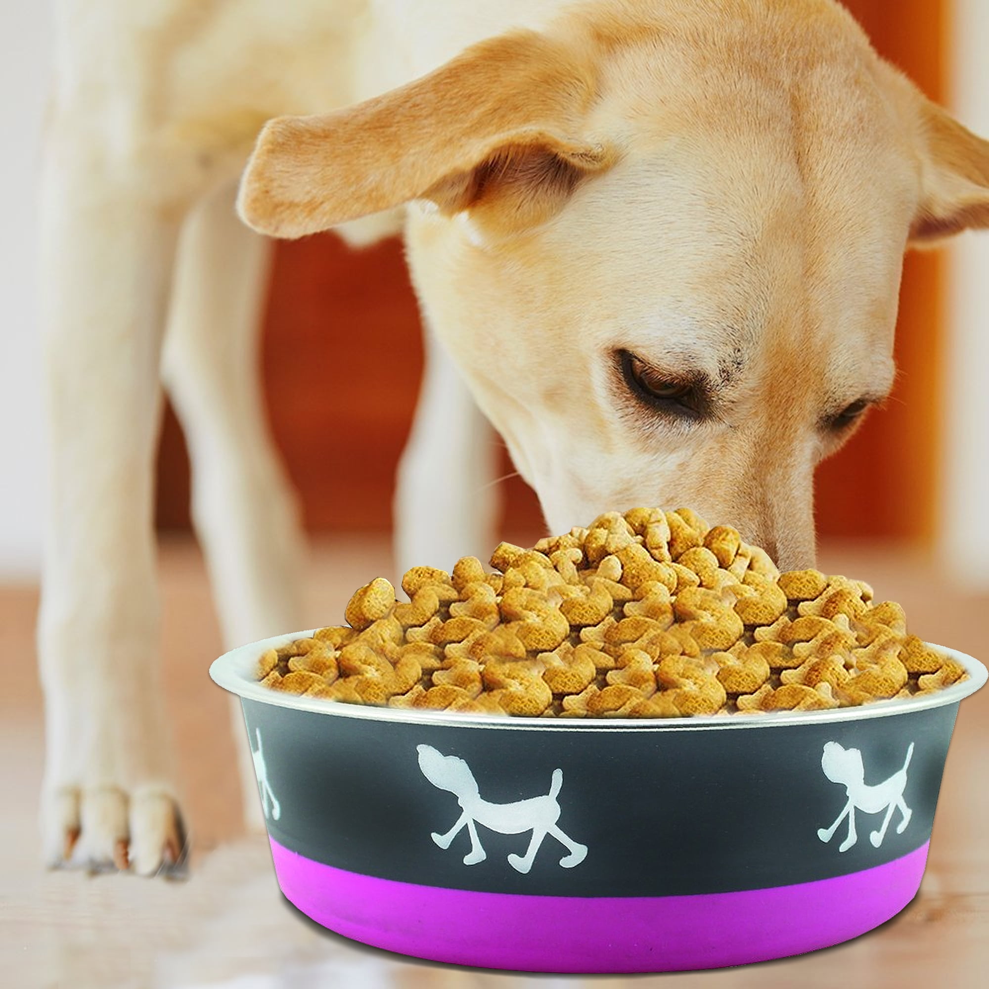 Pefilos 8.27"x4.72" Medium Lightweight Stainless Steel Dog Bowl, 54.1 OZ Food And Water Dish Pet Food Bowls, Purple Pefilos 8.27"x4.72" Medium Lightweight Stainless Steel Dog Bowl, 54.1 OZ Food And Water Dish Pet Food Bowls, Purple