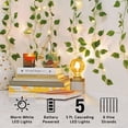 thumbnail image 2 of BrightSide LED Cascading Curtain Vine Indoor Lights, Warm White, 3.5ft W x 5ft H, 2 of 9