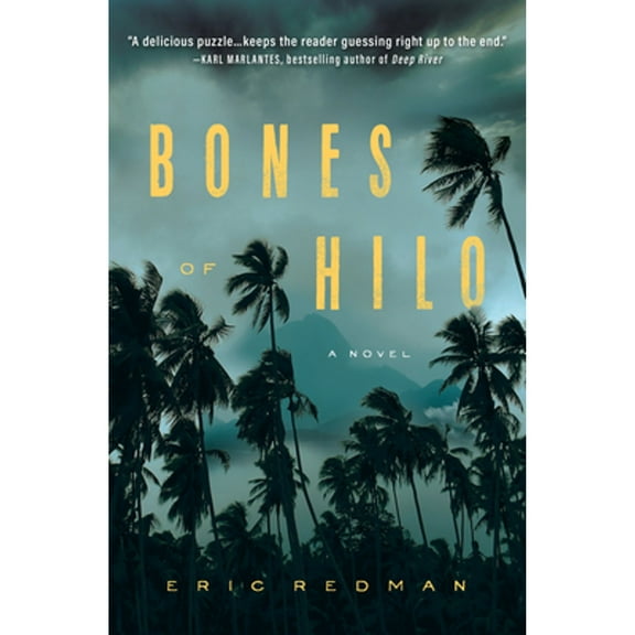 Bones of Hilo : A Novel (Hardcover)