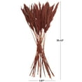 thumbnail image 3 of 35" Dried Plant Natural Foliage Pampas Bouquet with Long Stems, by DecMode, 3 of 8