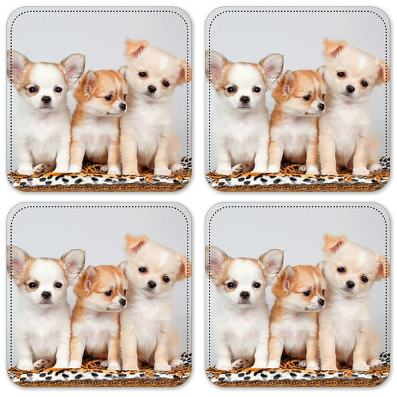 Vinyl Drink Coasters - Set of 4 - Three Amigos Puppies