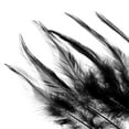 thumbnail image 4 of Uxcell 5-6 Inch Rooster Feathers, 100 Pack Bulk Natural Feathers for Crafts Style 2, Black, 4 of 5