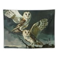 thumbnail image 5 of Orinice Owls Tapestry Wall Hanging Unique Style Graphic Tapestries Home Decor for Living Room Bedroom 40x30inch, 5 of 6