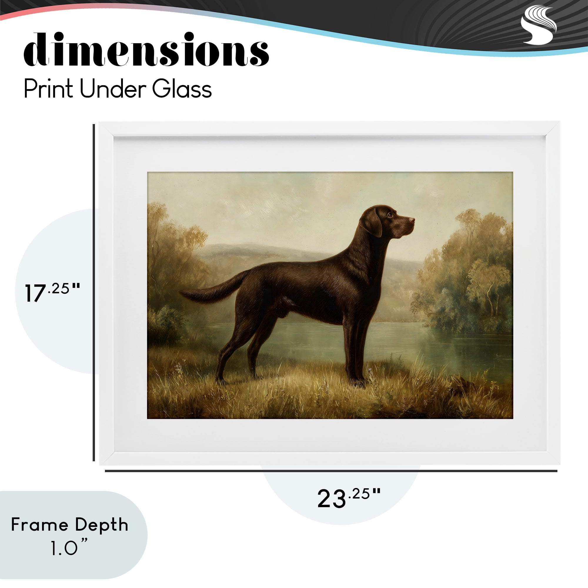 Stupell Industries Chocolate Brown Labrador White Framed Print Under Glass, design by Petal Prints Design