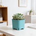 thumbnail image 4 of Succulents Planter, Colorful Square Porous Breathable Mini Gardening Pot, 1-Pack, 4 of 6