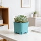 thumbnail image 4 of Succulents Planter And Colorful Squares Porous And Breathable Mini Gardening Pot, 4 of 6