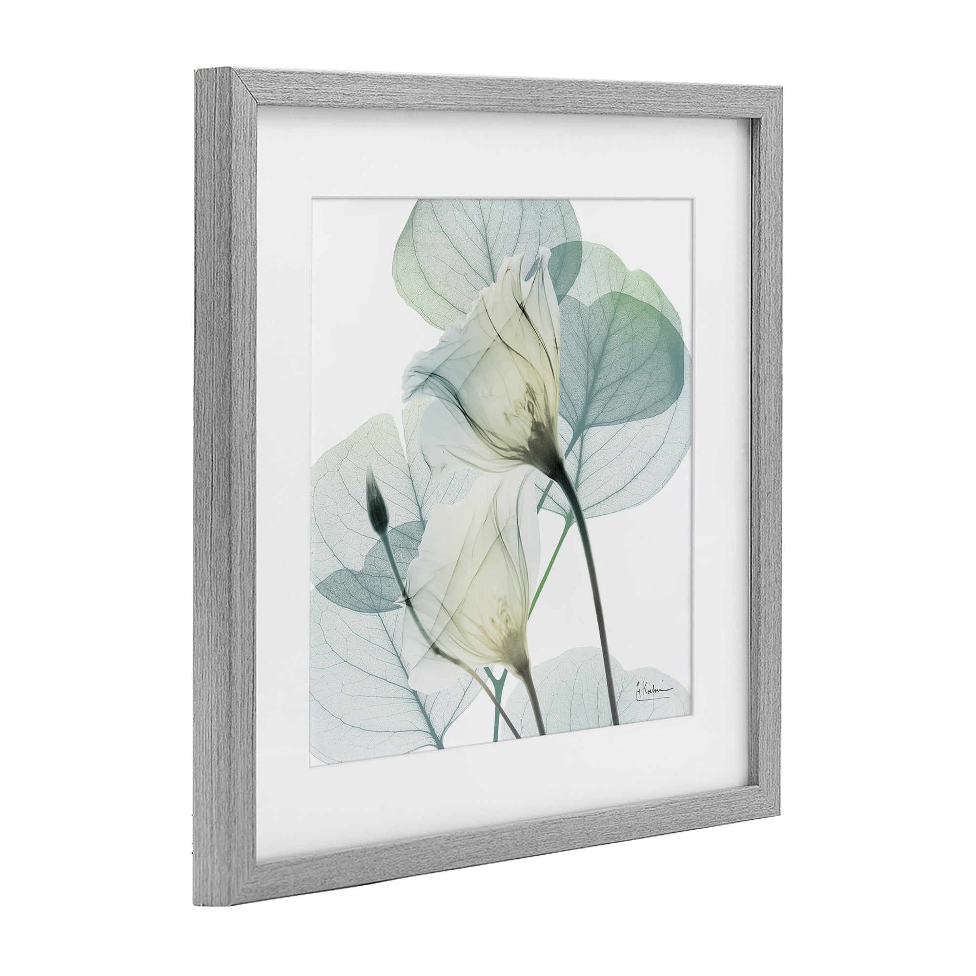 Stupell Industries Divine Fate Petals Gray Framed Print Under Glass, design by Albert Koetsier