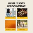 thumbnail image 3 of Suplementos de hierro para mujeres - Hierro fermentado Koji con alga nori, c&#2013265921scara de lim&#2013265923n y acerola - Suplemento suave para el est&#2013265923mago, la sangre, 3 of 8