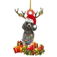 thumbnail image 2 of Xihbxyly Adorno para Árbol de Navidad, Figura de Perro Pintada a Mano, Adorable Decoración Navideña, Regalo Especial para Amantes de Los Perros, Decoración Familiar para El Árbol de Navidad, Tamaño 5, 2 of 7