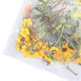 thumbnail image 5 of 6 Pack Floral Stickers Set DIY Hand Crafted PET Transparent Floral Leaves Stickers for Scrapbooking Photo Album, 5 of 5