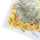 thumbnail image 5 of 6 Pack Floral Stickers Set DIY Hand Crafted PET Transparent Floral Leaves Stickers for Scrapbooking Photo Album, 5 of 5