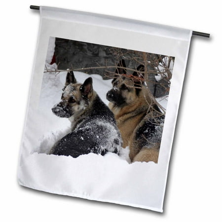 3dRose German Shepherds Best Friends - Garden Flag, 12 by