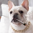 thumbnail image 1 of Collar de seguridad para mascotas, cadena gruesa de oro con eslabones, dorado, 55 cm, 1 of 2