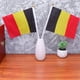 thumbnail image 5 of EeaseMX 50 banderas pequeñas de Bélgica para sujetar con palo, banderas internacionales de países del mundo, decoración para fiestas., 5 of 7