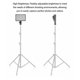 thumbnail image 4 of Lámpara de Relleno LED ANGGREK Brillo Ajustable 11W 5600k, 4 of 8