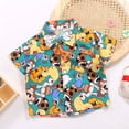 thumbnail image 1 of ¡Liquidación! Conjuntos casuales de camiseta de manga corta y pantalones cortos lisos con cuello vuelto para niños de Honeeladyy Fashion para uso diario (multicolor, 10-11 años), 1 of 5