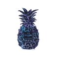 thumbnail image 3 of Greenwood, Amanda 12x14 Black Modern Framed Museum Art Print Titled - Black Purple Pineapple, 3 of 5