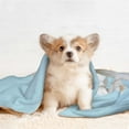 thumbnail image 4 of Naloa Puppy Licks Nose Dog Blanket, 3 Sizes Cat Blanket for Indoor Cats Large Medium Small Dog Gifts-Small, 4 of 8
