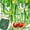 Green, variant on Netting Garden Netting for Climbing Plants,0.9m*5.9ft Plant Netting,27 Strands Plant Climbing Net for Climbing Plants, Vegetables and Flowers (Green)
