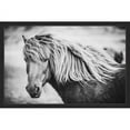 thumbnail image 2 of Marmont Hill "Beautiful Mane" Framed Painting Print, 2 of 2