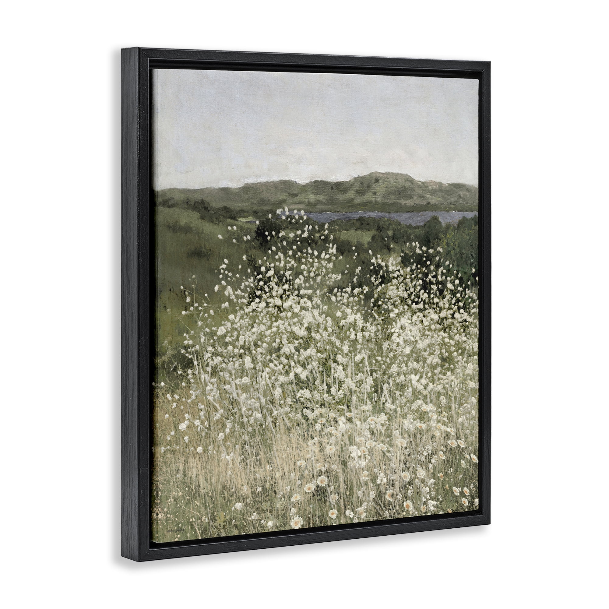 Stupell Industries Sunlit Meadow of White Daisies Black Framed Floater Canvas Wall Art, design by Amber Sterling
