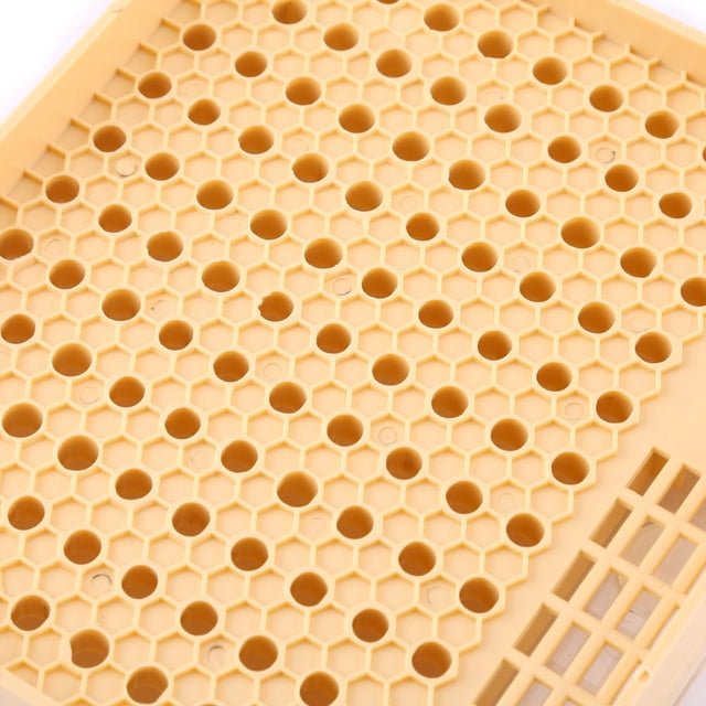 Beekeeping Cup, Non- Convenient To Use Hair Roller Cages, For Raise Queens Laying Eggs