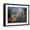 Black Frame, variant on Art.com Moonlight Splendor Giclee Print by Nicky Boehme, 16" x 12"