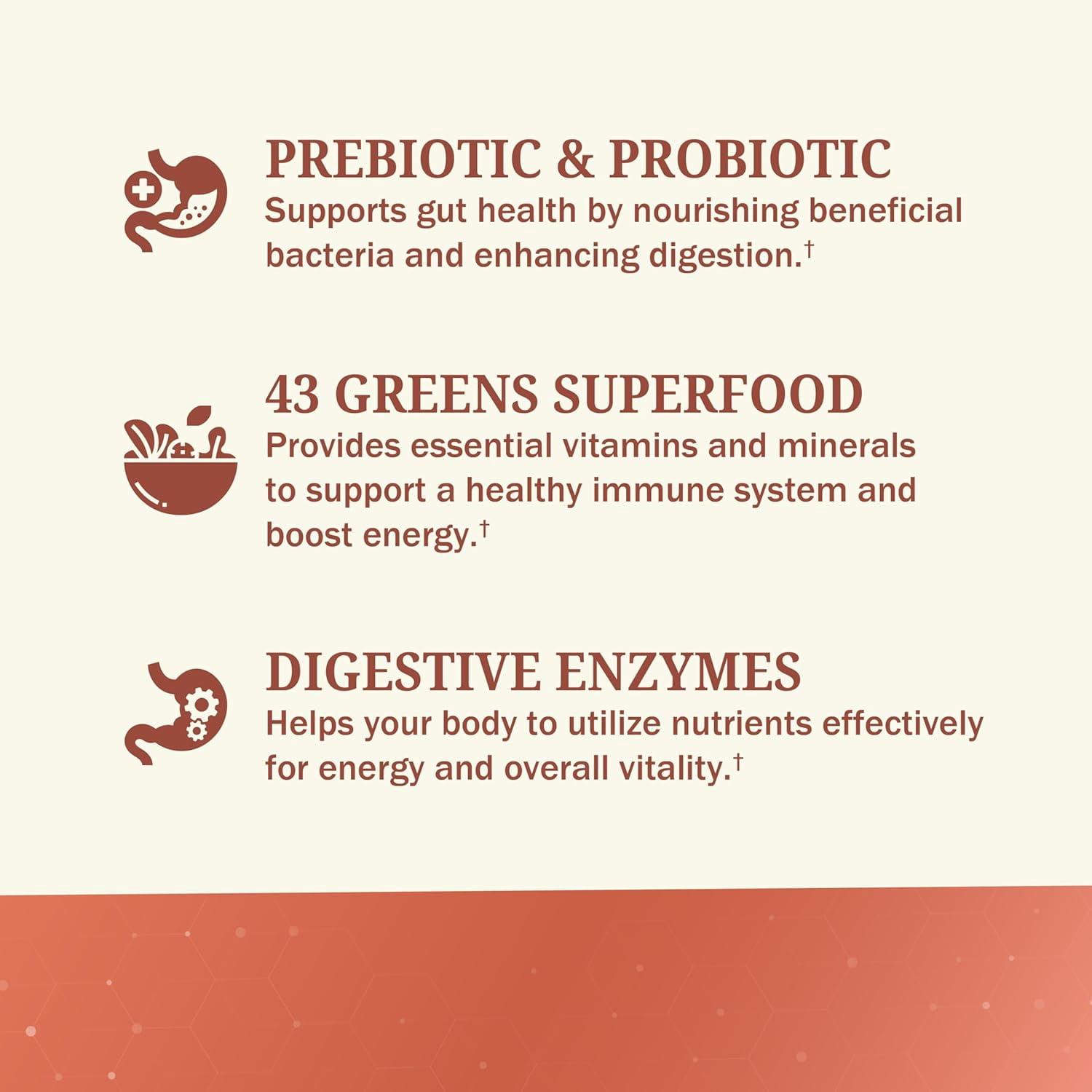 BioSchwartz Super Greens Powder with Probiotics, Prebiotics & Digestive Enzymes, 43 Green Superfoods Including Spirulina & Chlorella, 30 Servings