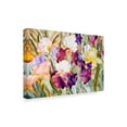 thumbnail image 2 of Trademark Fine Art 'Iris Garden 1' Canvas Art by Sharon Pitts, 2 of 3