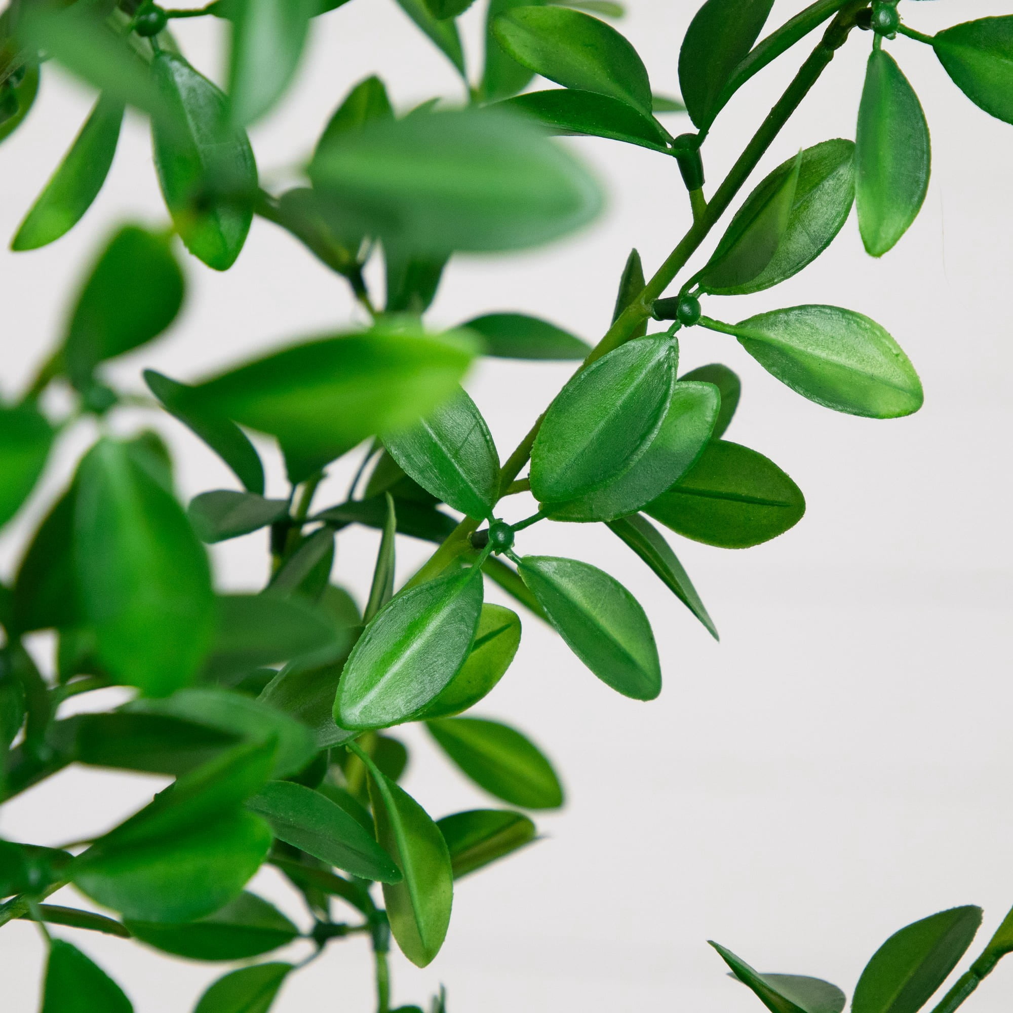 Nearly Natural 7ft. Artificial Shady Lady Black Olive Tree