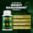 thumbnail image 4 of (5 Pack) Lipodyne – Advanced Capsule Formula Supplement Pills 1000MG for Daily Health & Wellness Support (300 Capsules), 4 of 7