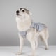 thumbnail image 4 of Chaleco De Enfriamiento Para Perros Abrigo De Enfriamiento Para Mascotas Ajustable Para Acampar Caminar Verano L Sunnimix Arnés de chaleco de refrigeración, 4 of 8