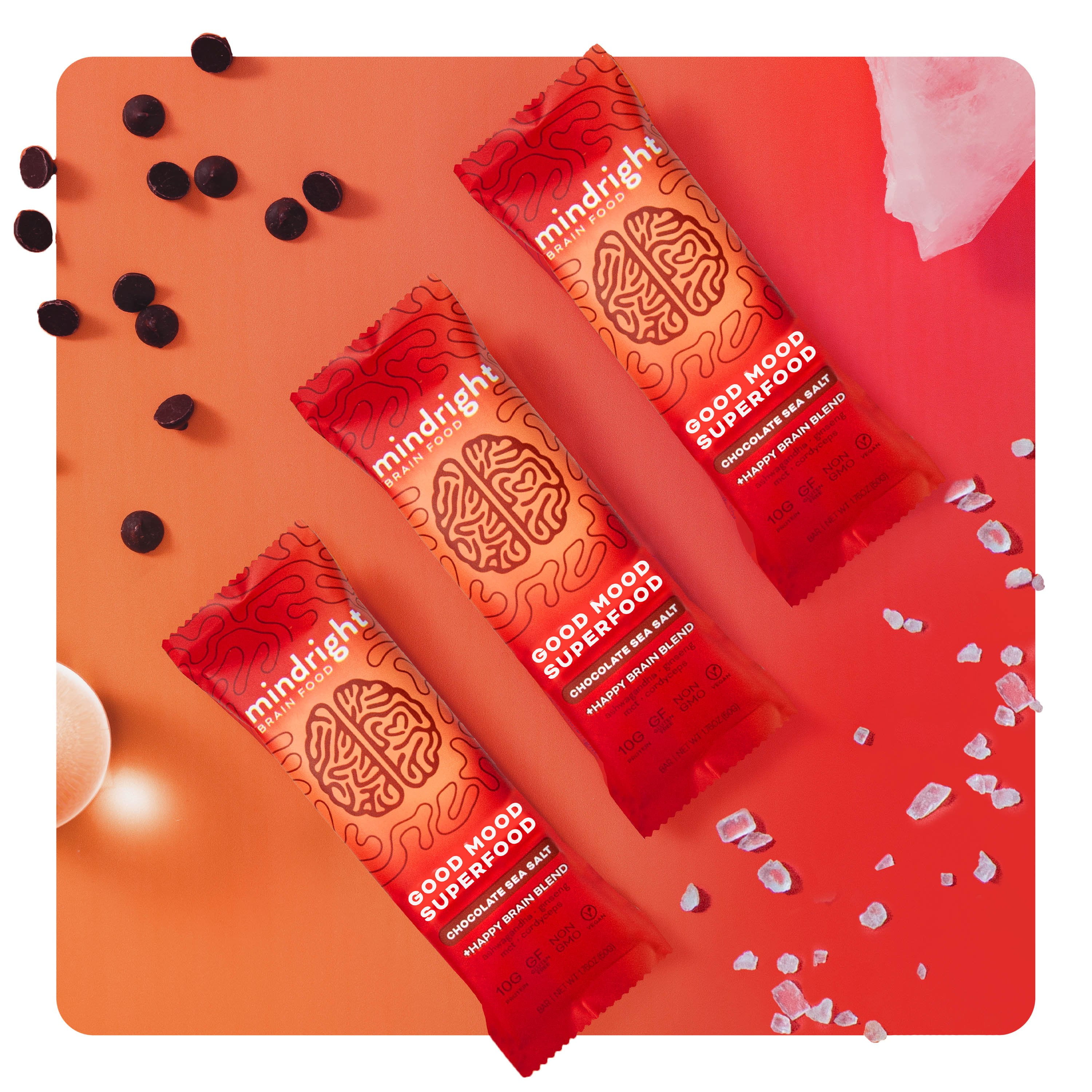 Mindright Nootropic-infused Superfood Protein Bar for Mood, Energy, & Focus, Pack of 12 - Chocolate Sea Salt