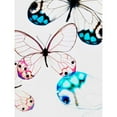 thumbnail image 3 of Telik, Tracey 12x14 Black Modern Framed Museum Art Print Titled - Glasswings, 3 of 5