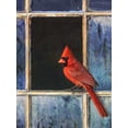 thumbnail image 2 of Vest, Chris 12x14 Gold Ornate Wood Framed with Double Matting Museum Art Print Titled - Cardinal Window, 2 of 4