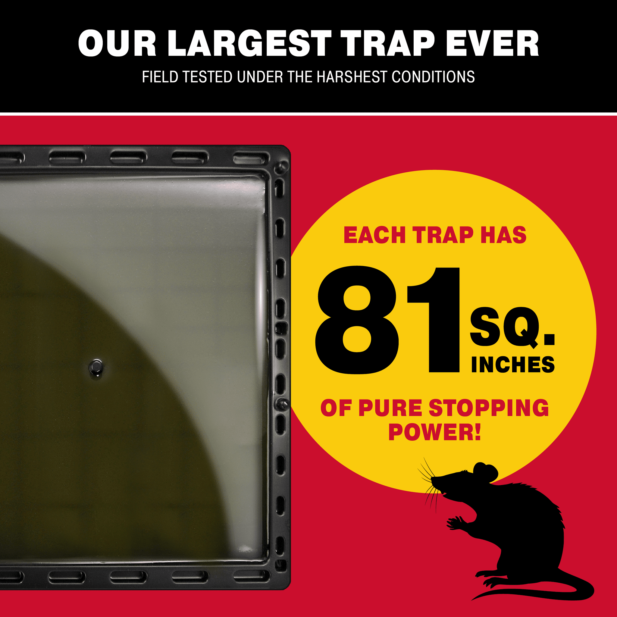 Catchmaster Jumbo Mouse & Rat Traps Indoor 6Pk, Large Glue Traps for Mice & Rodents