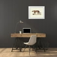thumbnail image 3 of Schinz, Heinrich Rudolf 14x12 White Modern Wood Framed Museum Art Print Titled - Leopard, 3 of 4