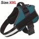 thumbnail image 1 of Keep Your Dog Safe and Comfortable with this Reflective No-Pull Dog Harness!, 1 of 5