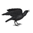 thumbnail image 2 of Nifao Raven with Open Wings Bronze Statue – Home Decor Sculpture, 16"L x 25"W x 15"H, 2 of 10