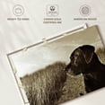 thumbnail image 6 of Elephant Stock Black Lab At The Beach Wall Art - Horizontal Canvas Wall Art - Living Room Wall Decor - Animal Canvas - Black And Brown Decor By Jim Dratfield - 12" x 8", 6 of 8