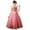 Dress, variant on ICHTHYOSAUR Girls Sleeping Princess Dress Pink Costume for Halloween Christmas Fancy Birthday Party
