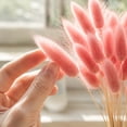 thumbnail image 5 of chaungfeng 17" Artificial Bunny Tails Dried Flowers, 20 Pcs Faux Dried Lagurus Ovatus, Dried Pink Pampas Grass Decor for Farmhouse Flower Arrangements Wedding Home Boho Party Decorations, 5 of 8