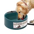 thumbnail image 1 of Evago Heated Dog Water Bowl- Pet Water Heating Bowl For Cats Dogs Chicken Birds Outdoor Winter Dog Bowl, 2.2l, 1 of 3
