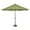 Gingko, variant on SimplyShade Octagon Outdoor Patio Umbrella with Push Button Tilt - 11' - Fawn Beige