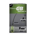 thumbnail image 1 of Tratamiento capilar Sistema GB minoxidil 5% 60 ml, 1 of 4