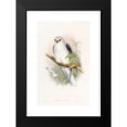 thumbnail image 2 of John Gould 11x14 Black Modern Framed Museum Art Print Titled - Celebean Elanus (1850-1883), 2 of 5