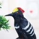 thumbnail image 5 of Taxidermia del pájaro carpintero de la decoración del jardín casero artificial multicolor, 5 of 9