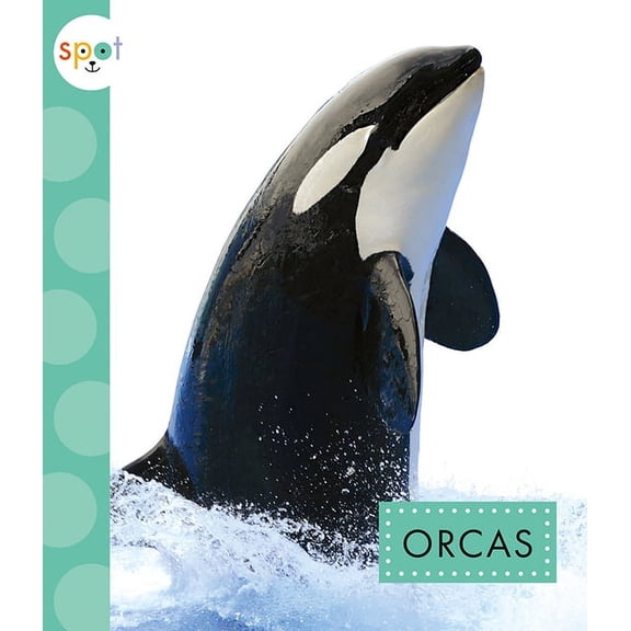 Spot Arctic Animals: Orcas (Paperback)