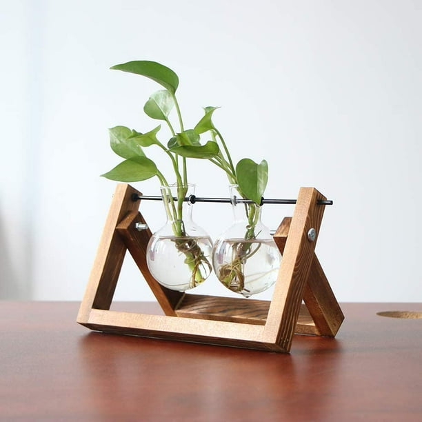 Plant Terrarium with Wooden Stand Propagation Stations, Air Planter