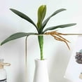 thumbnail image 4 of hengsof Artificial Green Phalaenopsis Simulation Moth Orchid Leaf Real Latex Touch Green Plant for Flowers Garden Bonsai Decor, 4 of 7